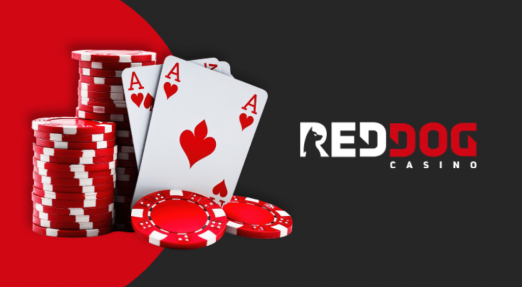 Review of Red Dog Casino: Your Chance for Big Prizes 2